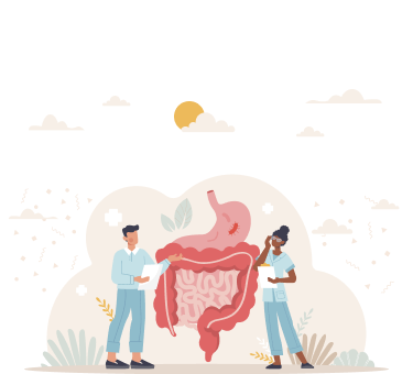 Bağırsak İllustrasyonu
